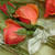 boutonnieres