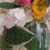 flowers with leaves