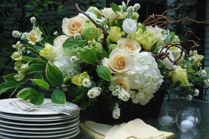 image gallery