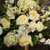 white flowers