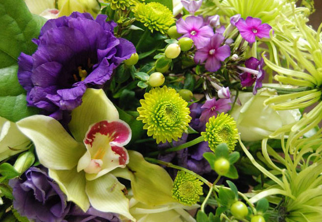 image gallery
