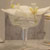 orchids